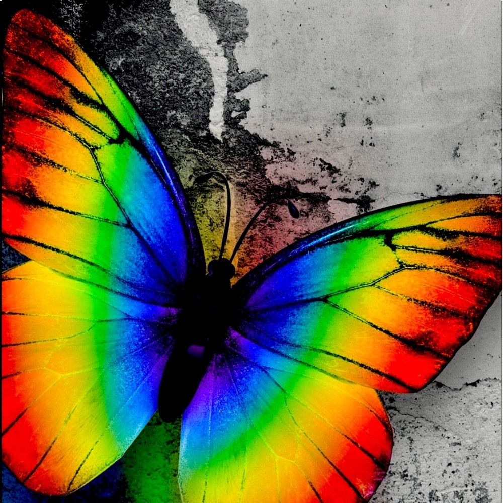 Look mom. It’s a butterfly